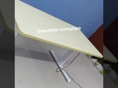 elektrisch verstellbarer Schreibtisch